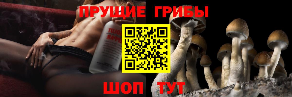 Галлюциногенные грибы Psilocybine cubensis  где можно купить   Анжеро-Судженск  Вход с VPN 